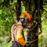 Grimpeur élagueur manhay