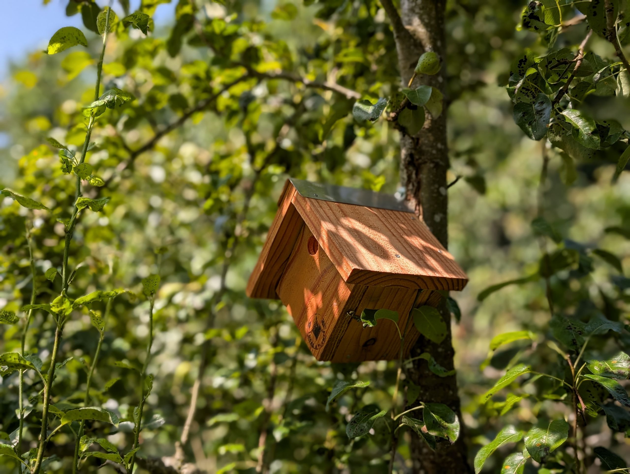 Aménagements biodiversité