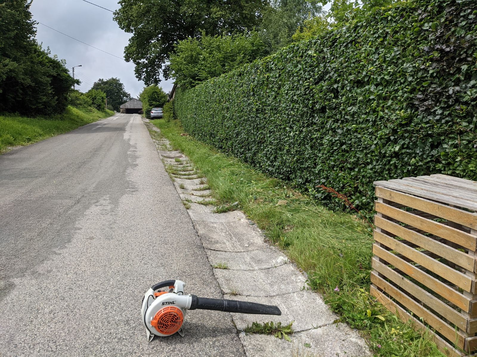 Haie fraîchement taillée le long d’une rue, souffleur au pied